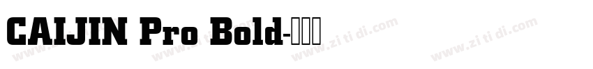 CAIJIN Pro Bold字体转换